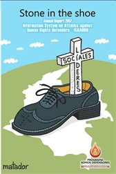 ANNUAL REPORT 2017 | STONE IN THE SHOE