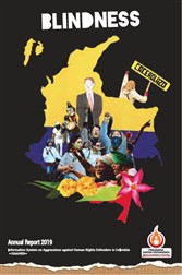 ANNUAL REPORT 2019 | BLINDNESS