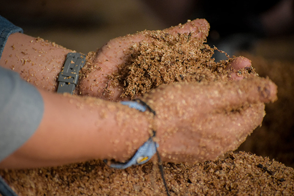 Las hijas del trueno