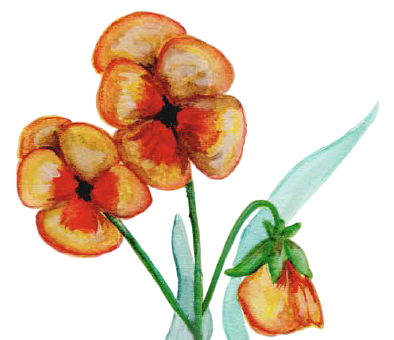 2 (1)-Photoroom-Photoroom